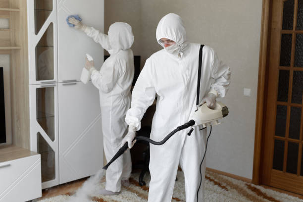 Best Emergency Mold Removal  in Wmington, IL